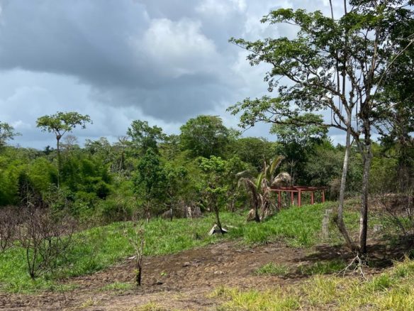 Land For Sale In South Trindad Trinidad Real Estate