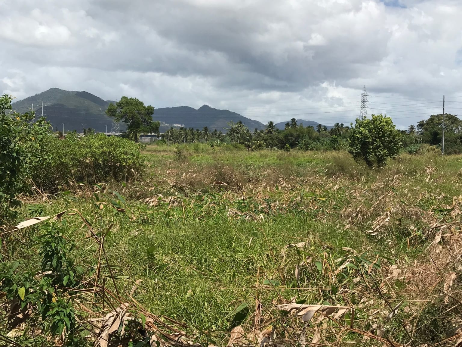 Land For Sale In Trinidad And Tobago Trinidad Real Estate