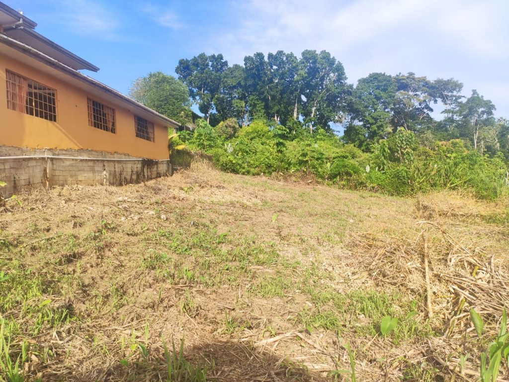 Agricultural Land for Sale in Trinidad Trinidad Real Estate