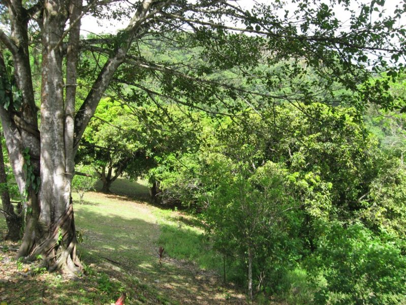 Land For Sale In Trinidad Trinidad & Tobago Real Estate