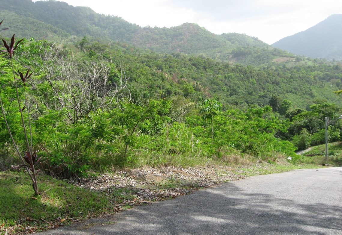 Grand Striking Land For Sale Trinidad Real Estate