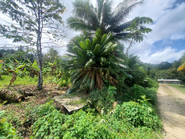 Land for Sale- Rincon Village