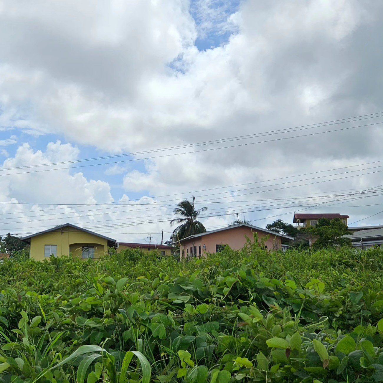 Land for Sale La Romain, Trinidad Trinidad Real Estate