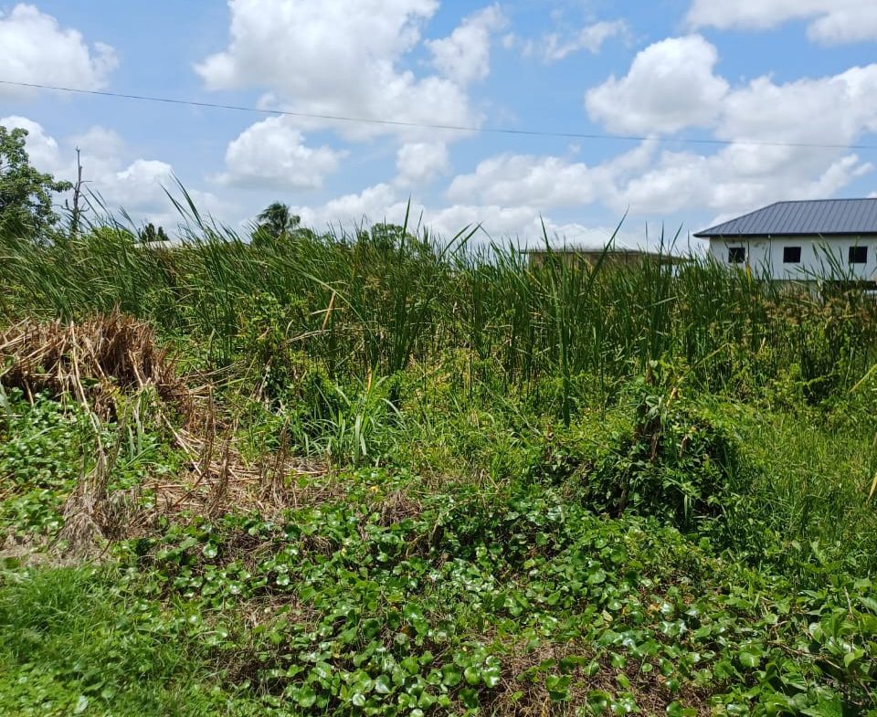 Felicity land for sale Trinidad Real Estate