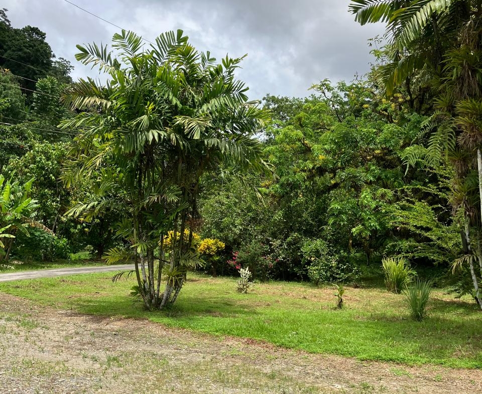 PHOTO 2025 09 03 15 45 14 (10)