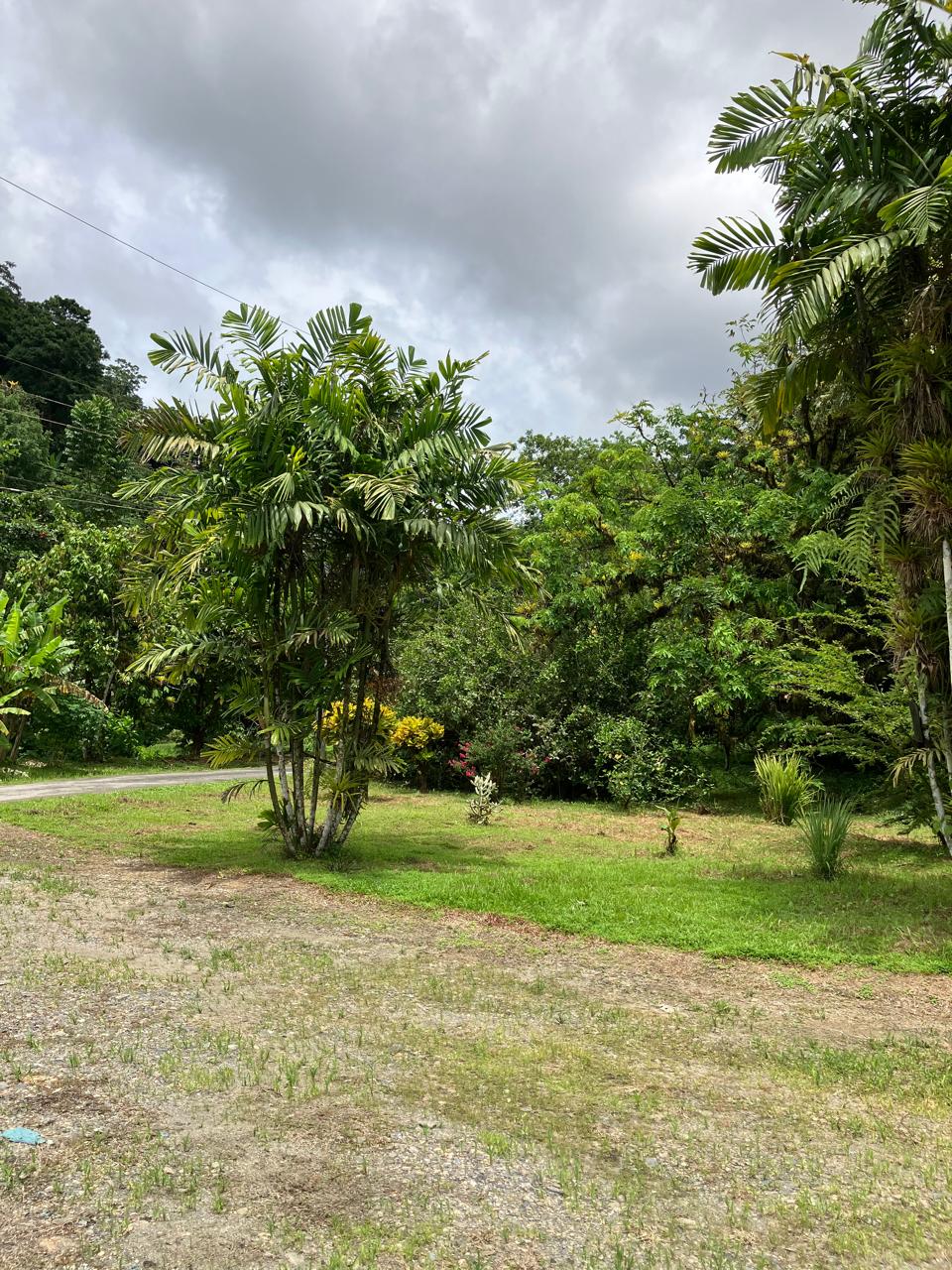 PHOTO 2025 09 03 15 45 14 (10) PHOTO 2025 09 03 15 45 14 (10)