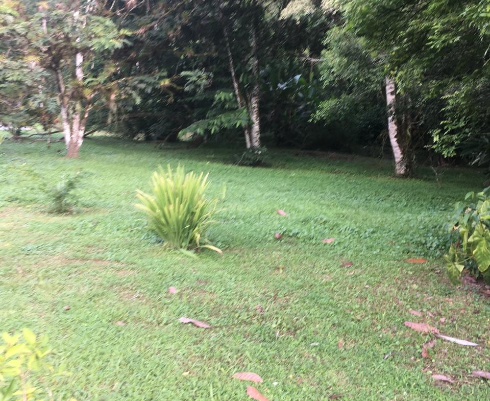 PHOTO 2025 09 03 15 45 14 (21)