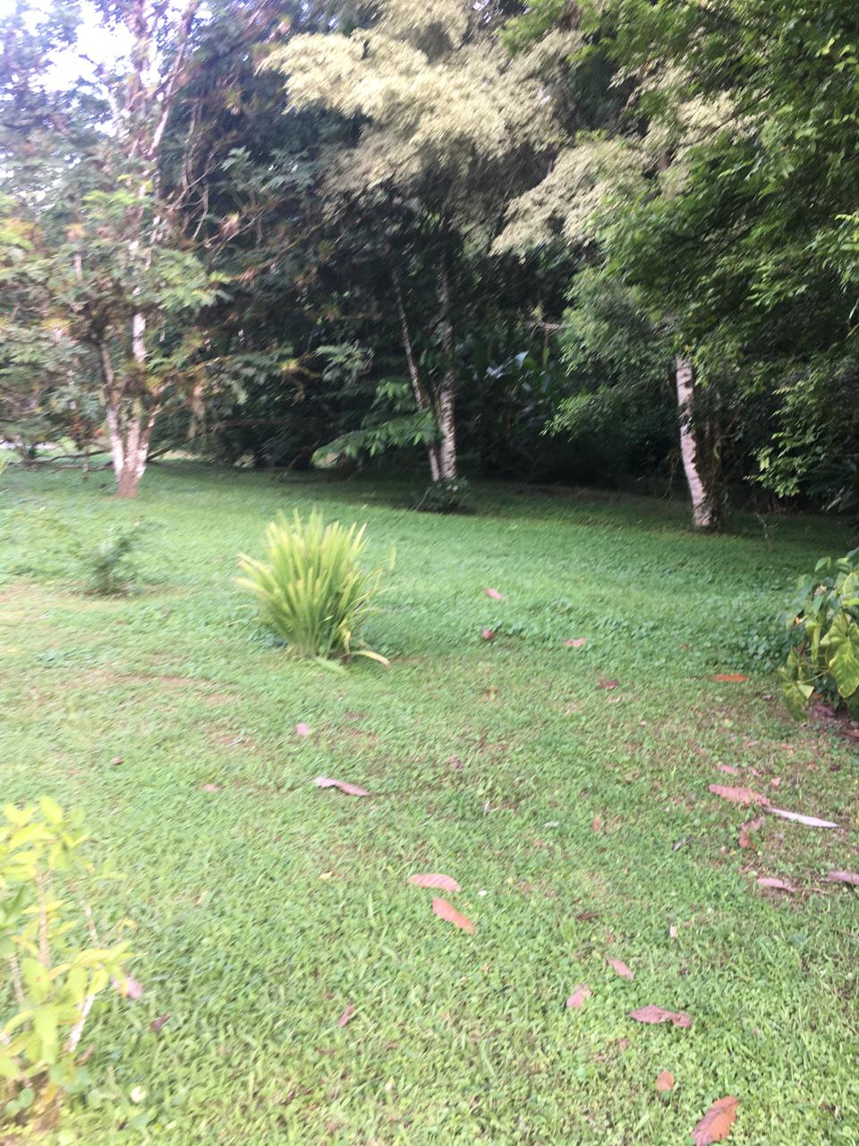 PHOTO 2025 09 03 15 45 14 (21) PHOTO 2025 09 03 15 45 14 (21)