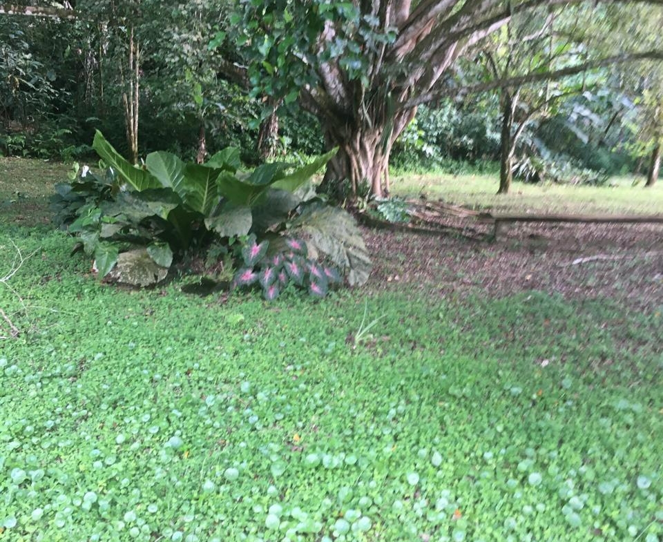 PHOTO 2025 09 03 15 45 14 (22)