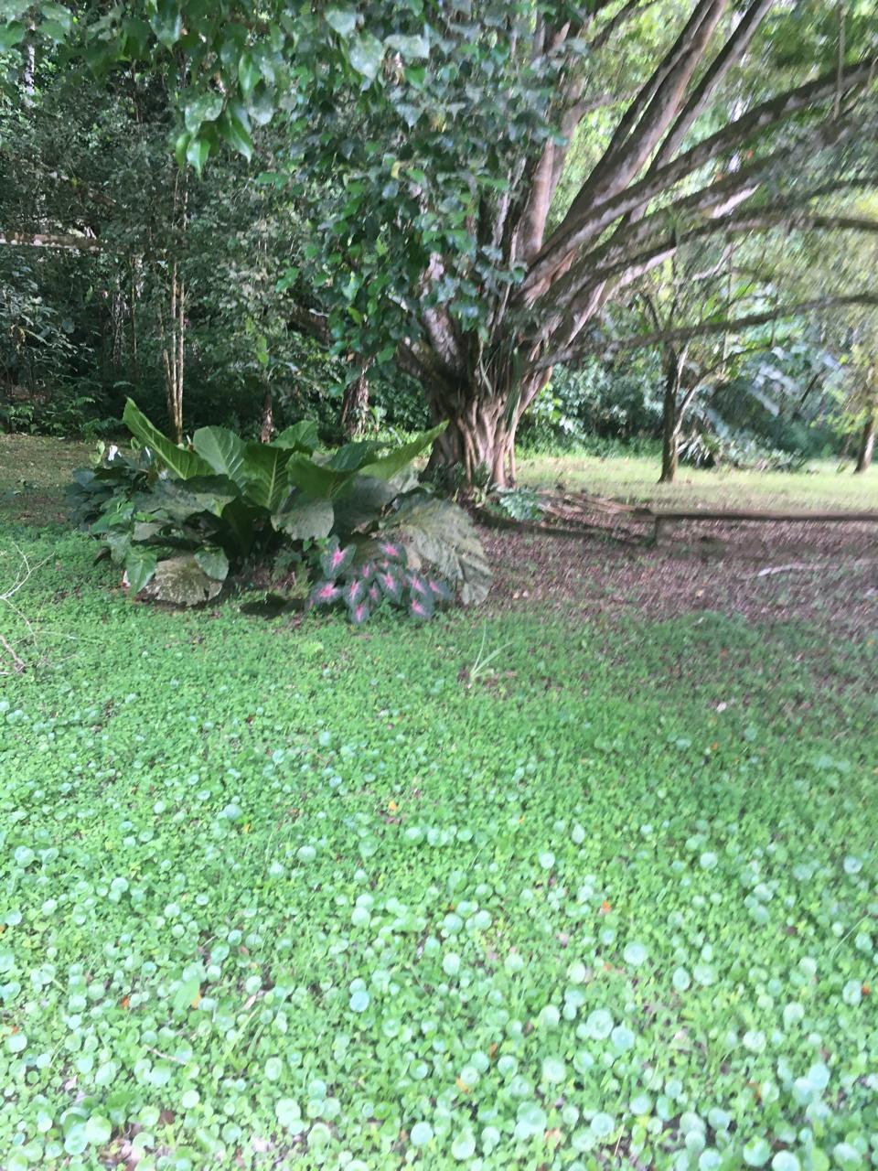 PHOTO 2025 09 03 15 45 14 (22) PHOTO 2025 09 03 15 45 14 (22)