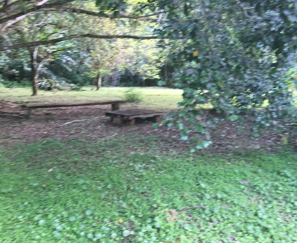 PHOTO 2025 09 03 15 45 14 (23)