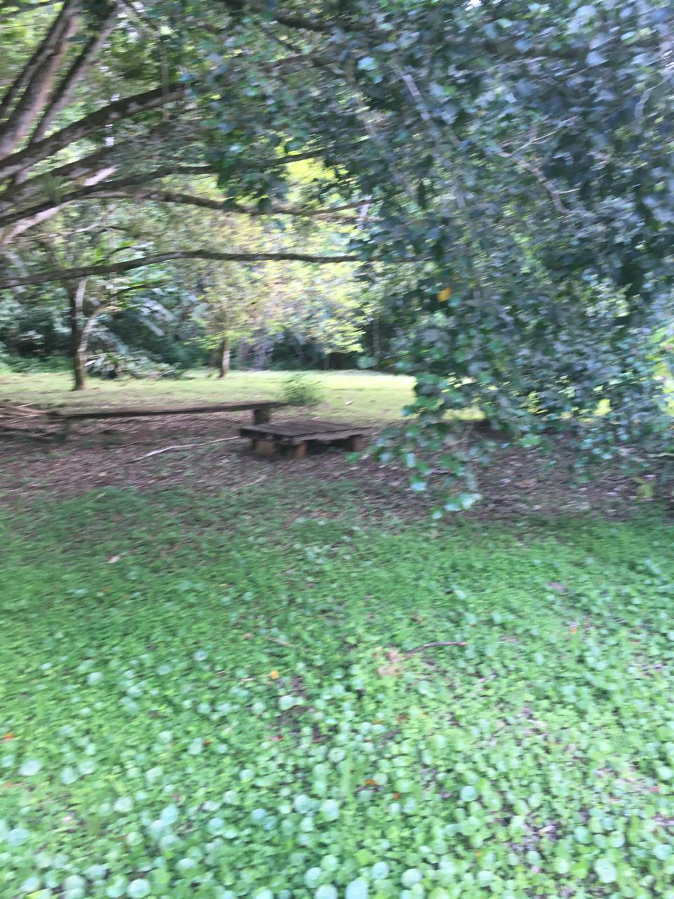 PHOTO 2025 09 03 15 45 14 (23) PHOTO 2025 09 03 15 45 14 (23)