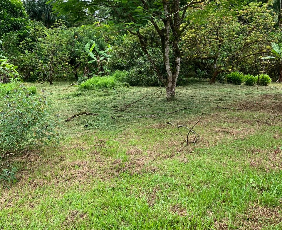 PHOTO 2025 09 03 15 45 14 (4)