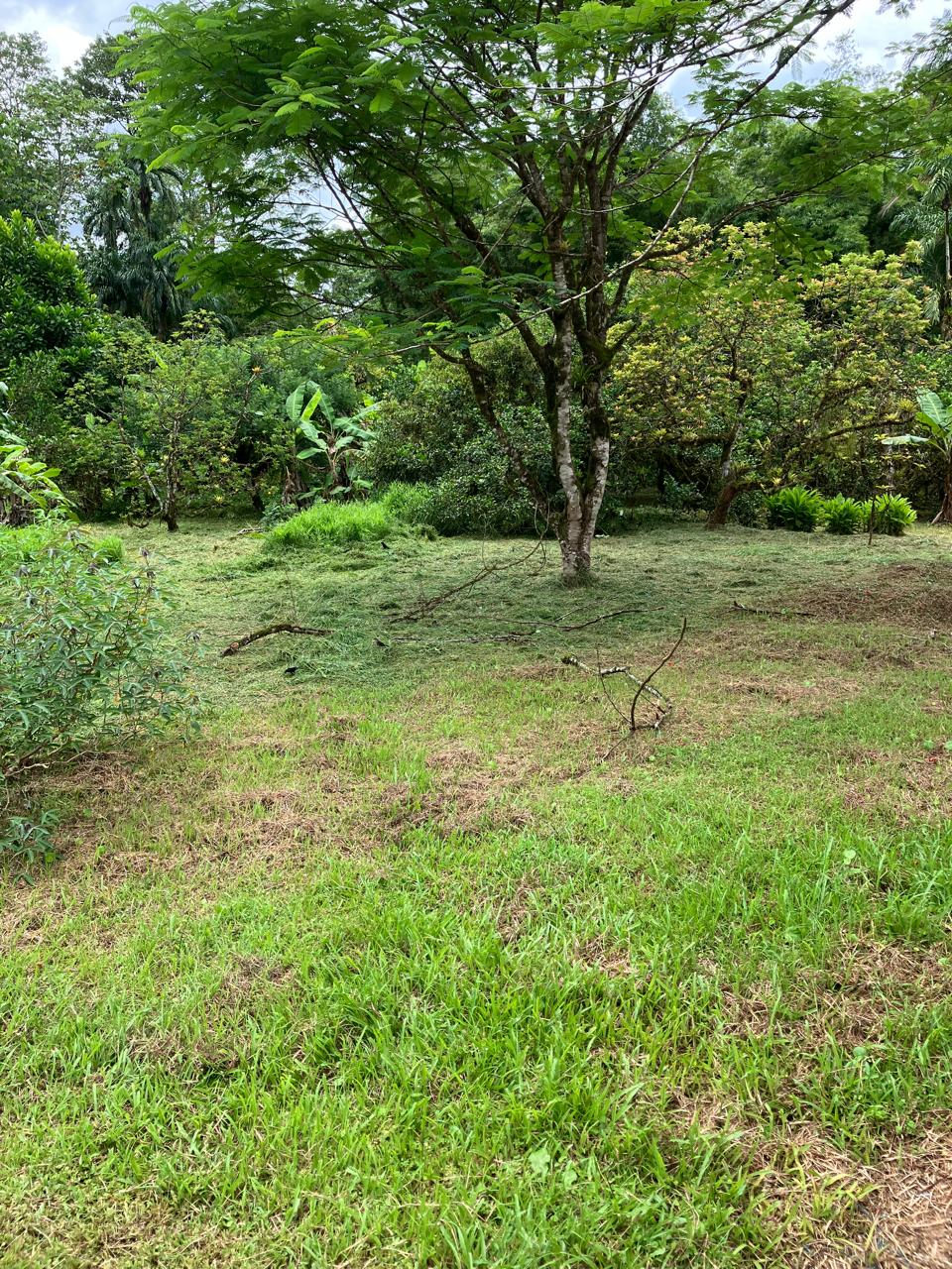 PHOTO 2025 09 03 15 45 14 (4) PHOTO 2025 09 03 15 45 14 (4)