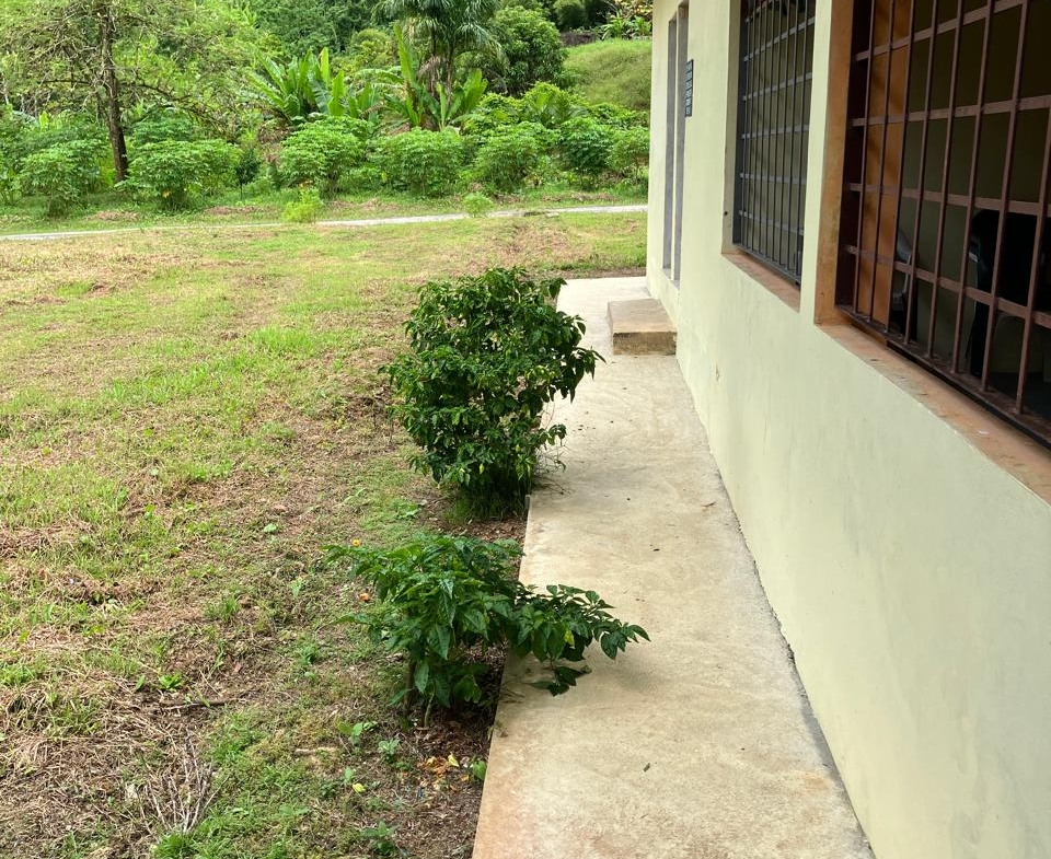 PHOTO 2025 09 03 15 45 14 (5)