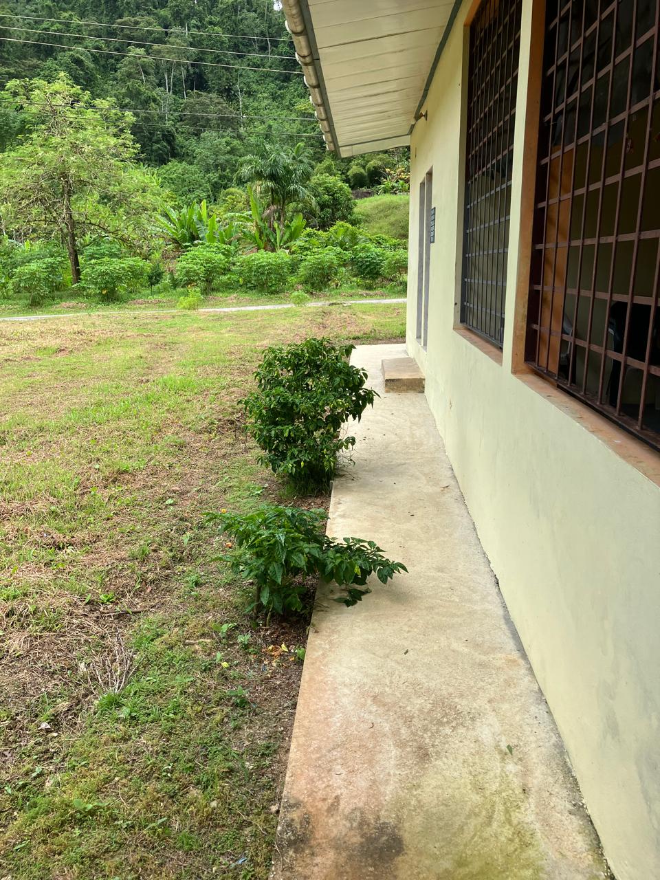 PHOTO 2025 09 03 15 45 14 (5) PHOTO 2025 09 03 15 45 14 (5)