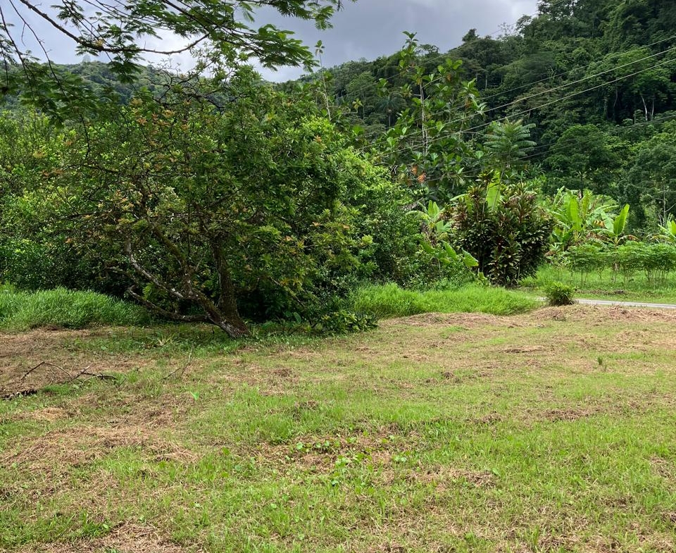 PHOTO 2025 09 03 15 45 14 (6)