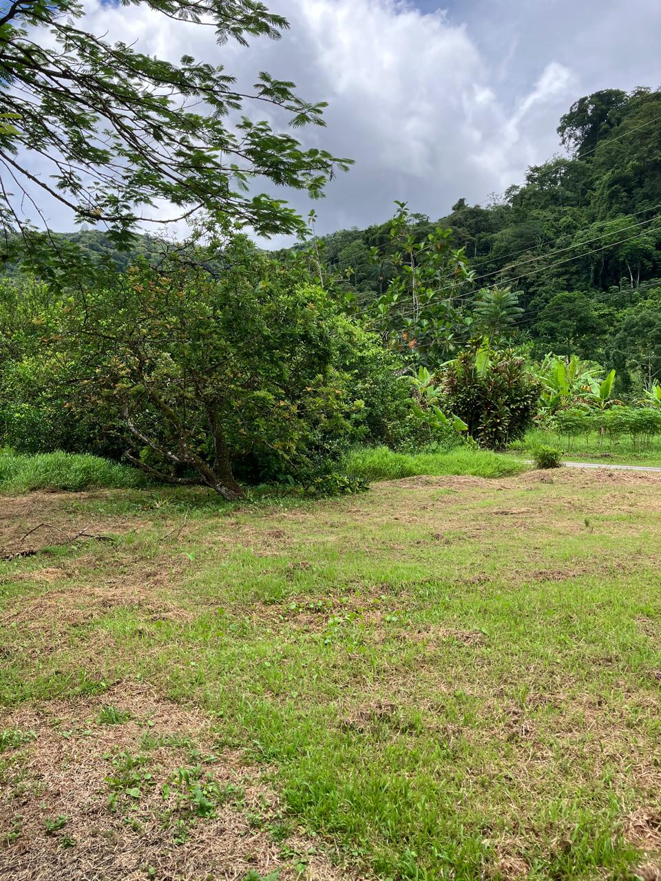 PHOTO 2025 09 03 15 45 14 (6) PHOTO 2025 09 03 15 45 14 (6)