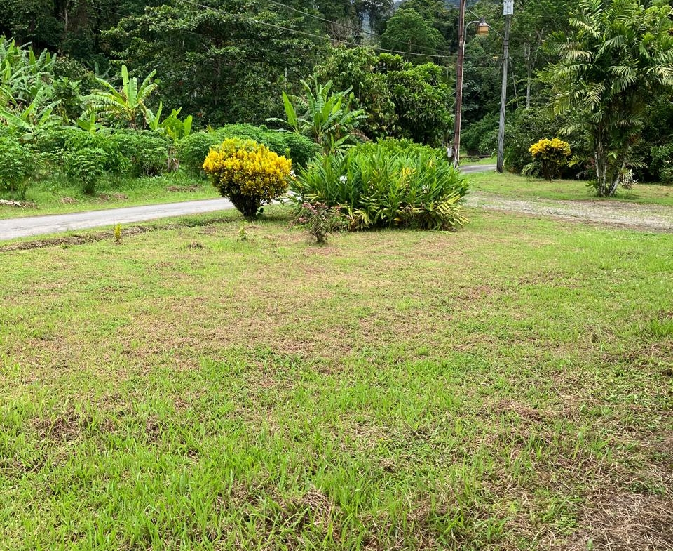 PHOTO 2025 09 03 15 45 14 (8)