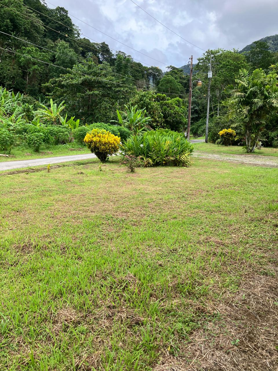 PHOTO 2025 09 03 15 45 14 (8) PHOTO 2025 09 03 15 45 14 (8)