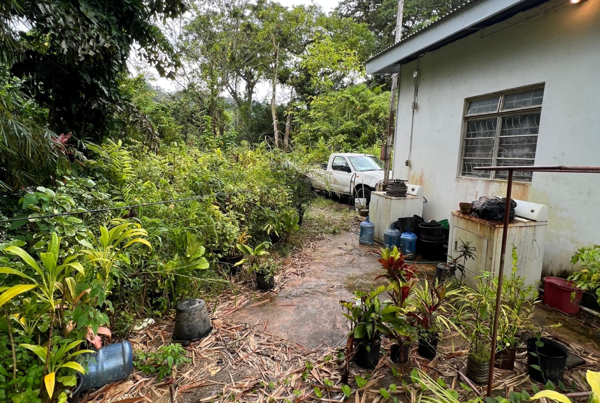 PHOTO 2025 09 05 00 17 36 (1)