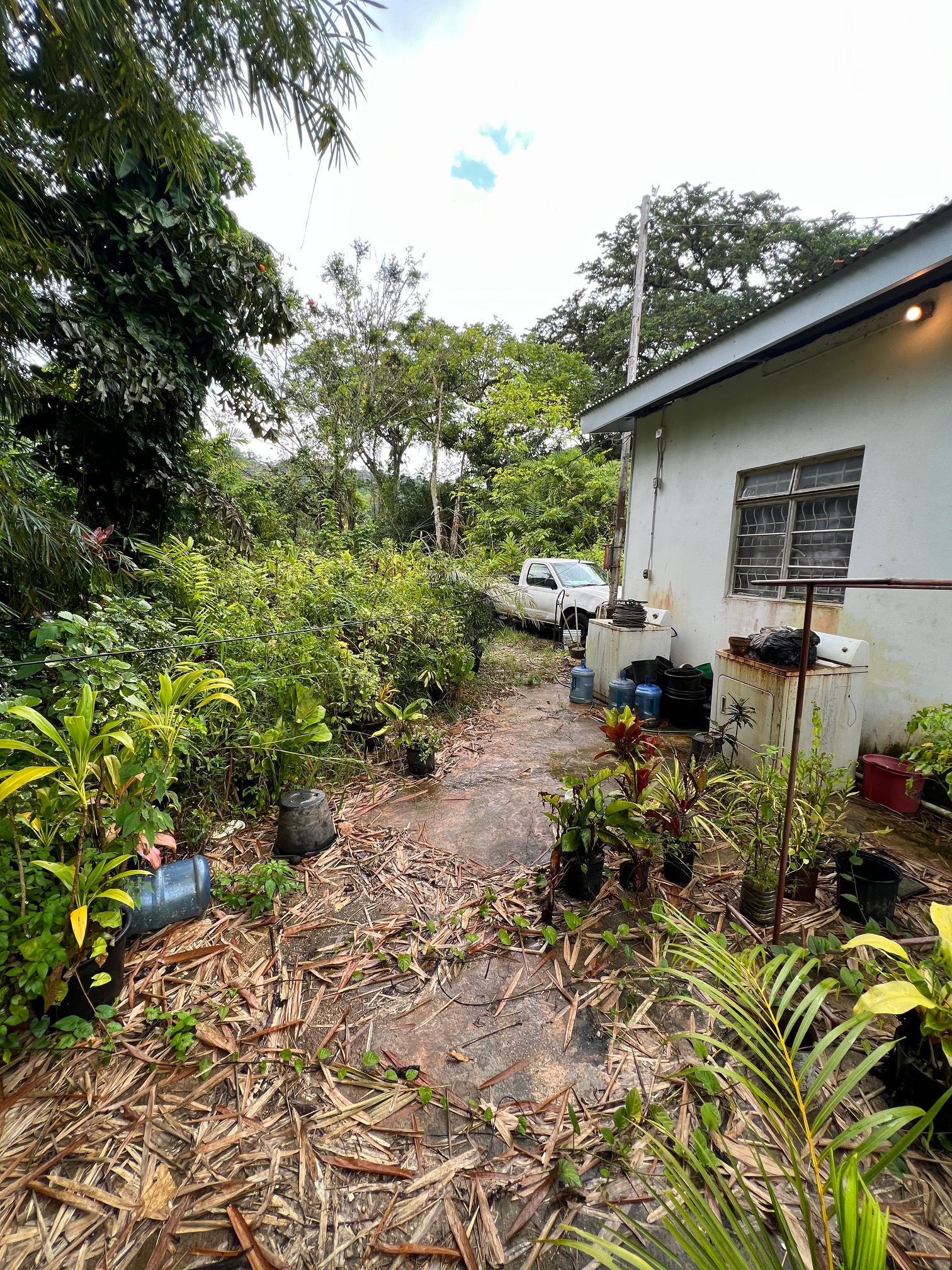 PHOTO 2025 09 05 00 17 36 (1)