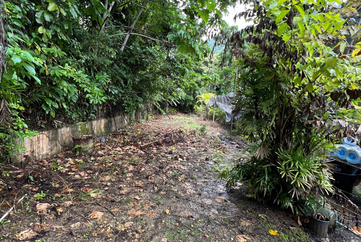 PHOTO 2025 09 05 00 17 36