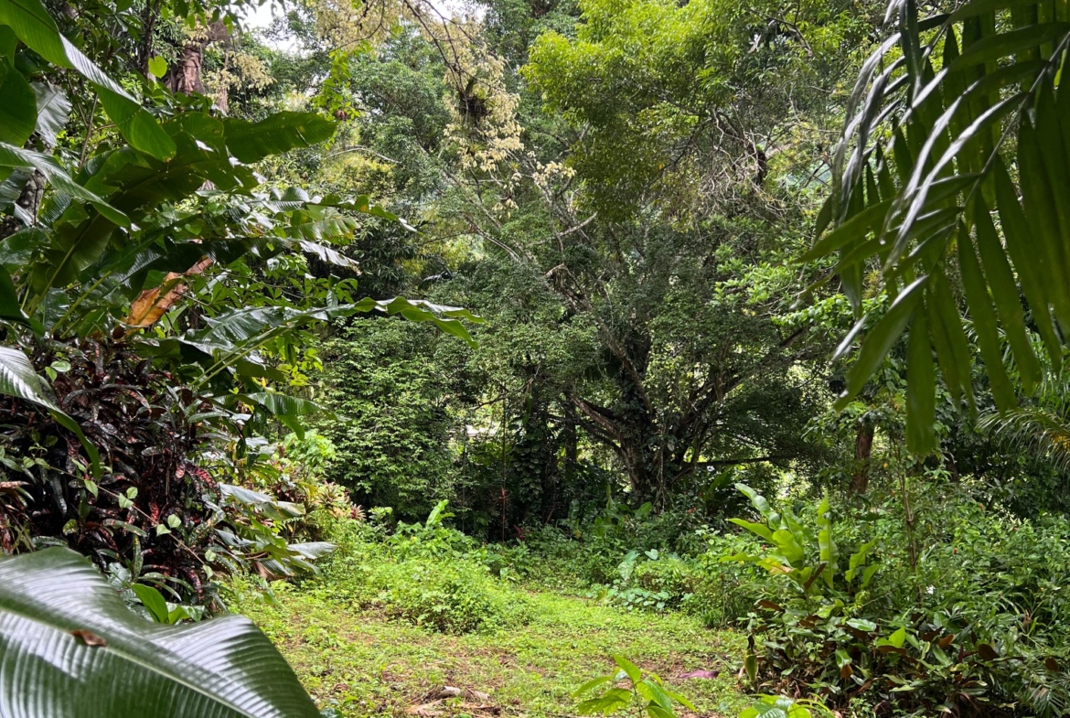 PHOTO 2025 09 05 00 17 36 (2)