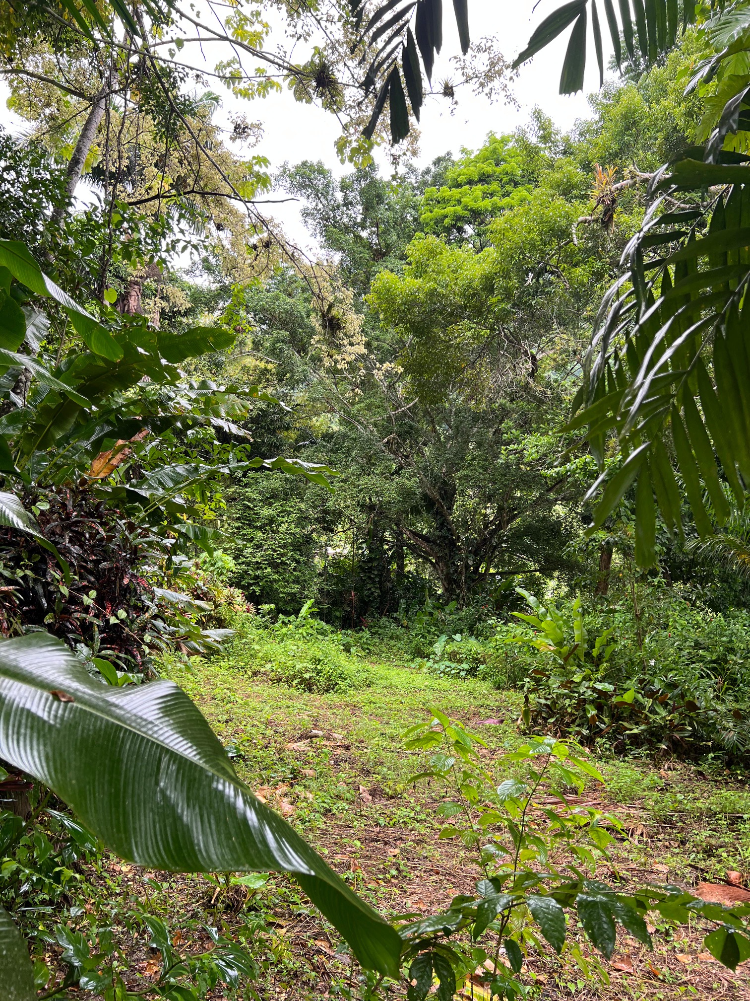 PHOTO 2025 09 05 00 17 36 (2)