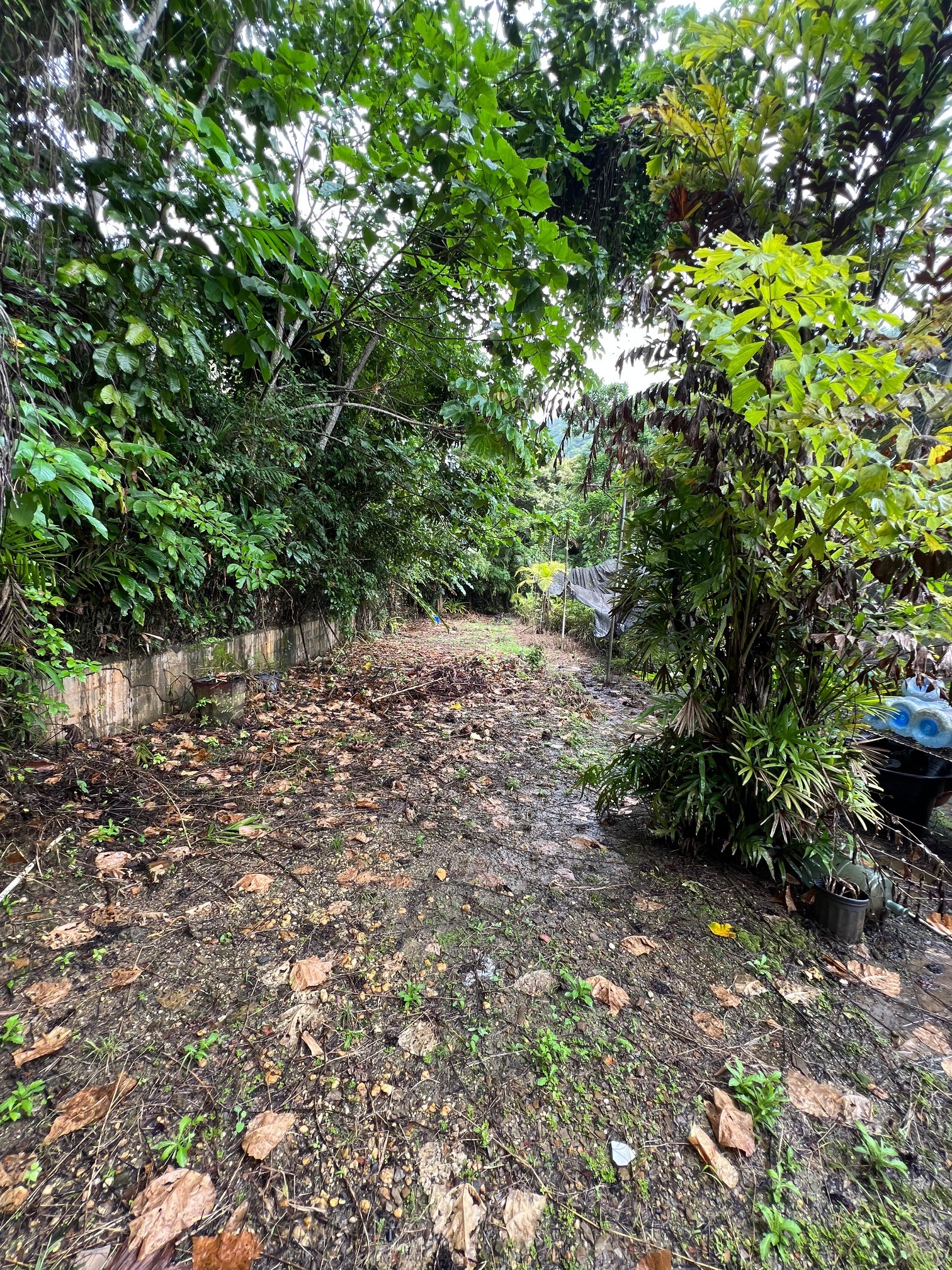 PHOTO 2025 09 05 00 17 36