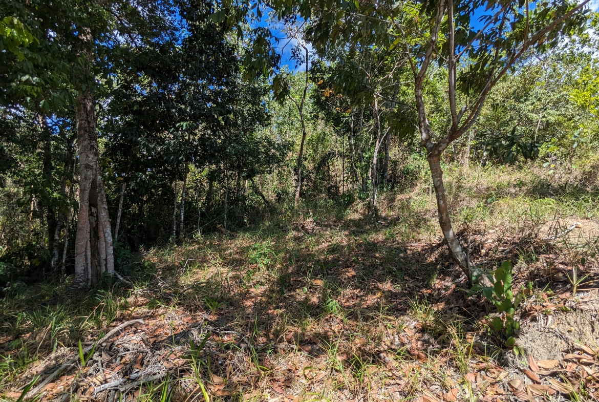 Acono Ridge Land for Sale | Maracas St Joseph | Trinidad Real Estate