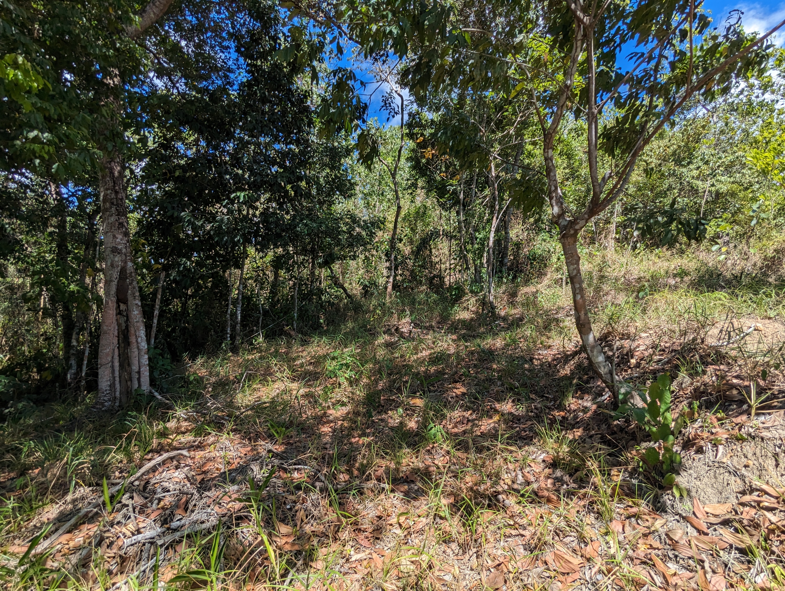 Acono Ridge St Joseph 3 Acono Ridge St Joseph 3