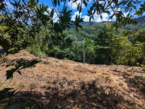 Acono Ridge St Joseph 4