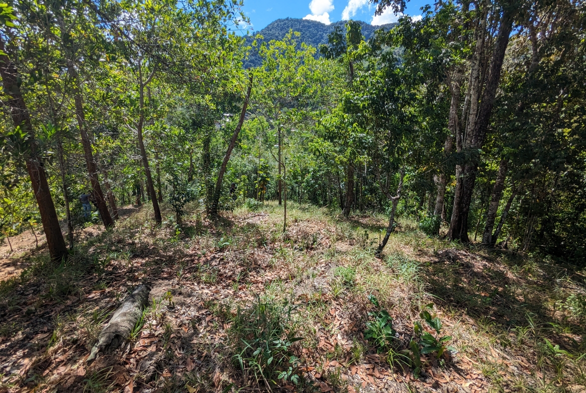 Acono Ridge Land for Sale | Maracas St Joseph | Trinidad Real Estate