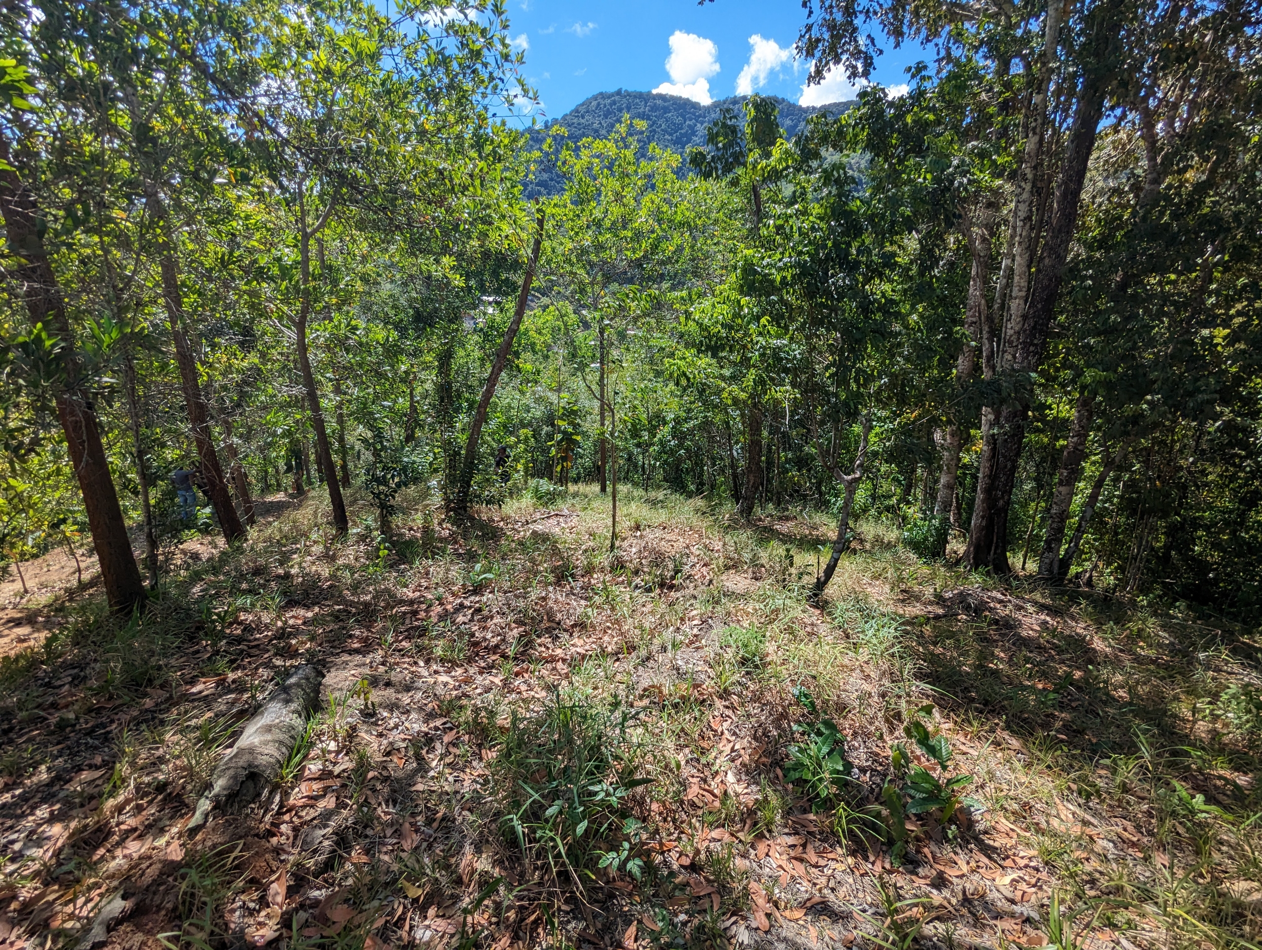 Acono Ridge St Joseph 6 Acono Ridge St Joseph 6