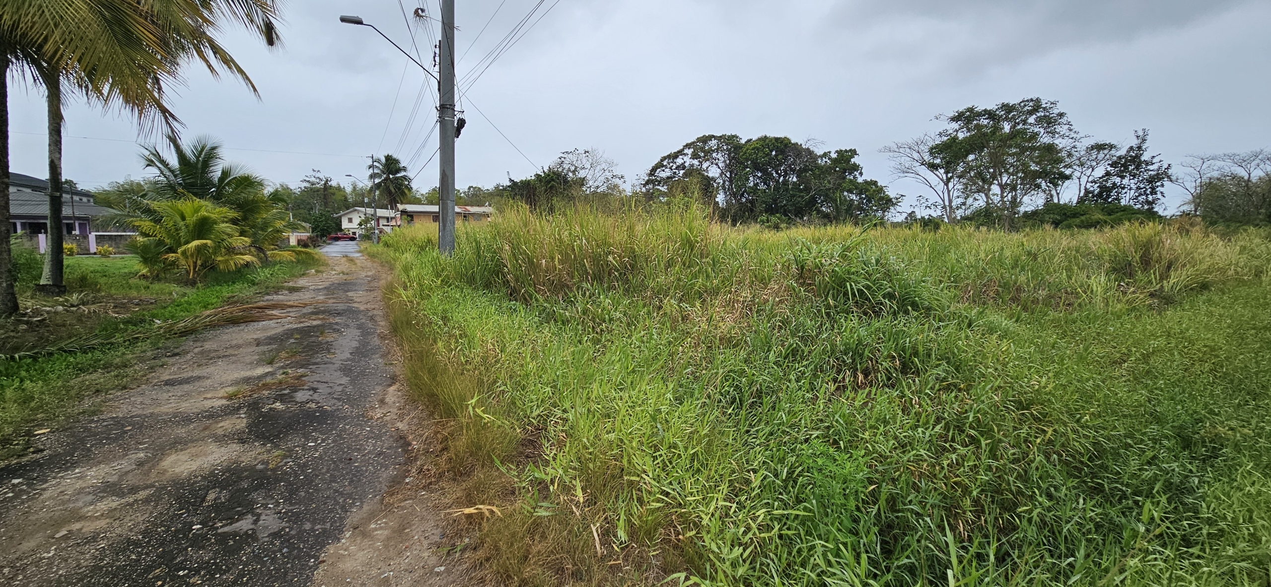 scaled 1001540817 scaled 1001540817