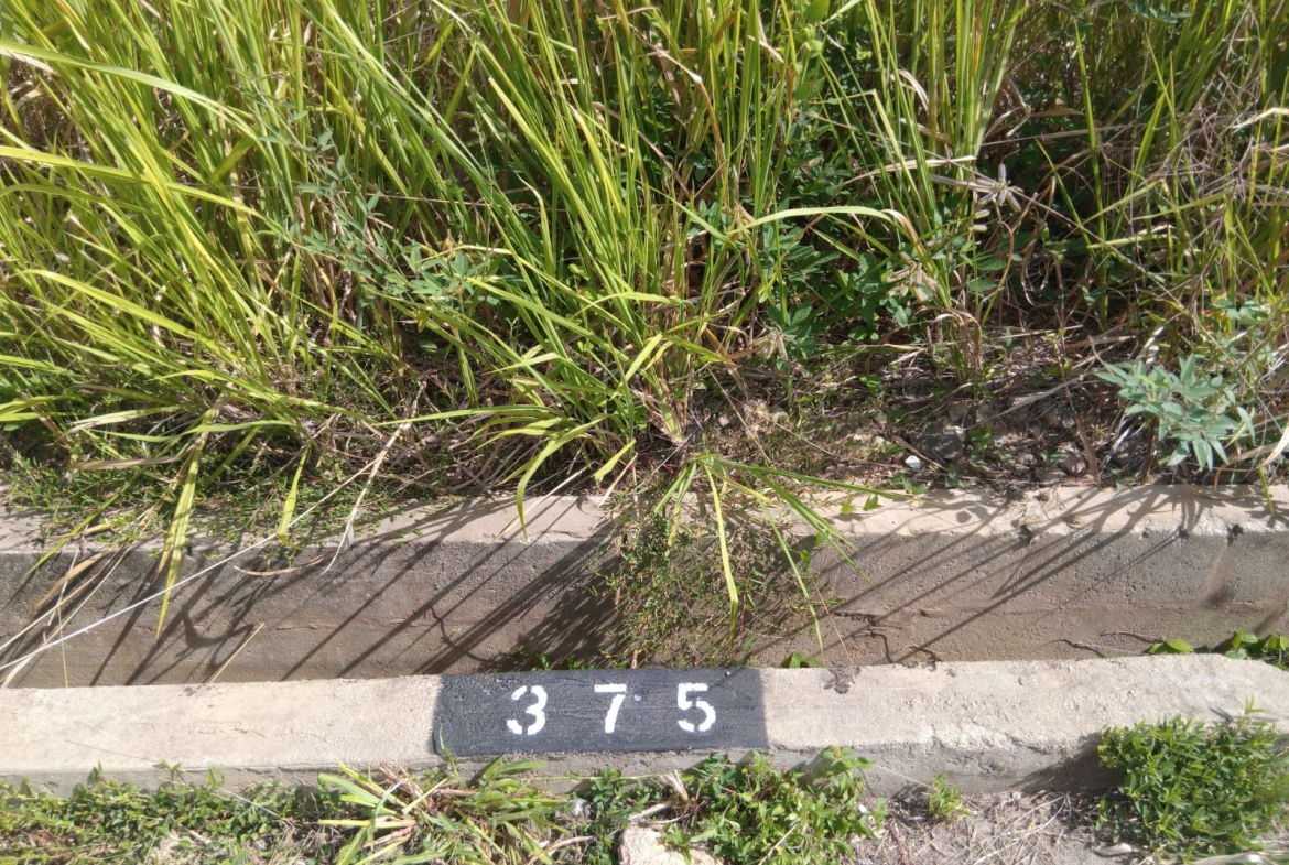 couva lot375 marker 3