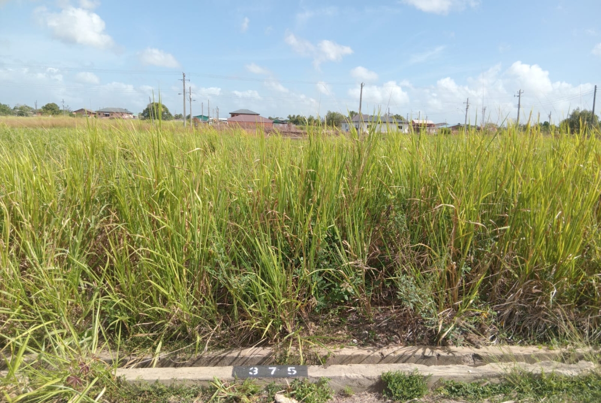 couva lot375 residential land 2