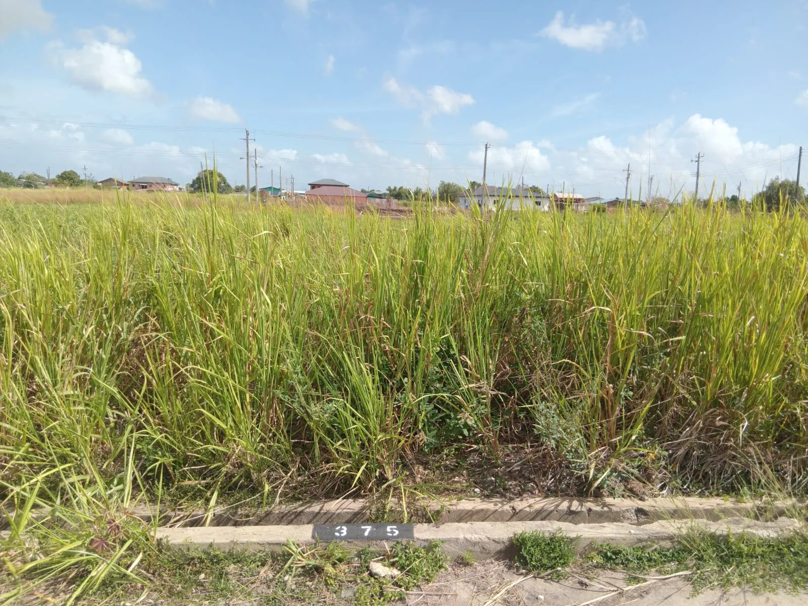 couva lot375 residential land 2 couva lot375 residential land 2