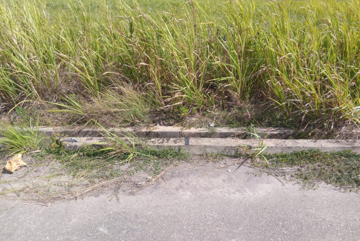couva lot375 roadside 4