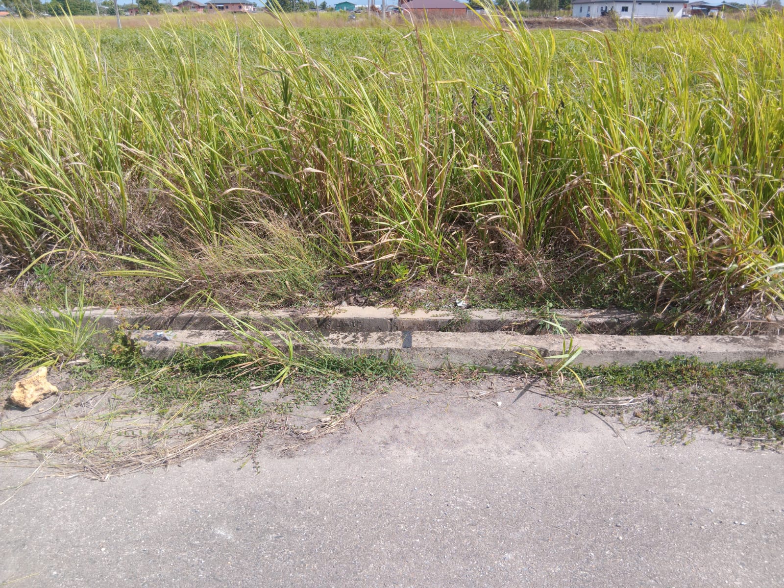 couva lot375 roadside 4 couva lot375 roadside 4