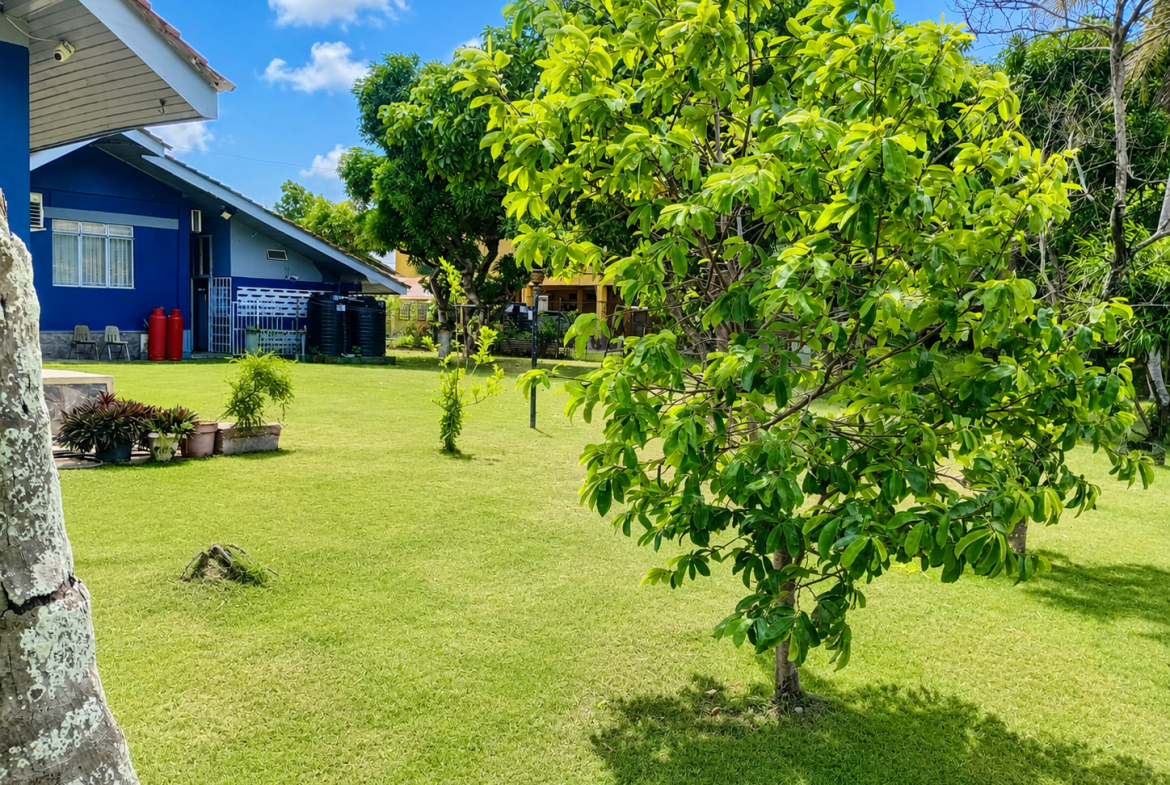 03 trincity home landscaped yard