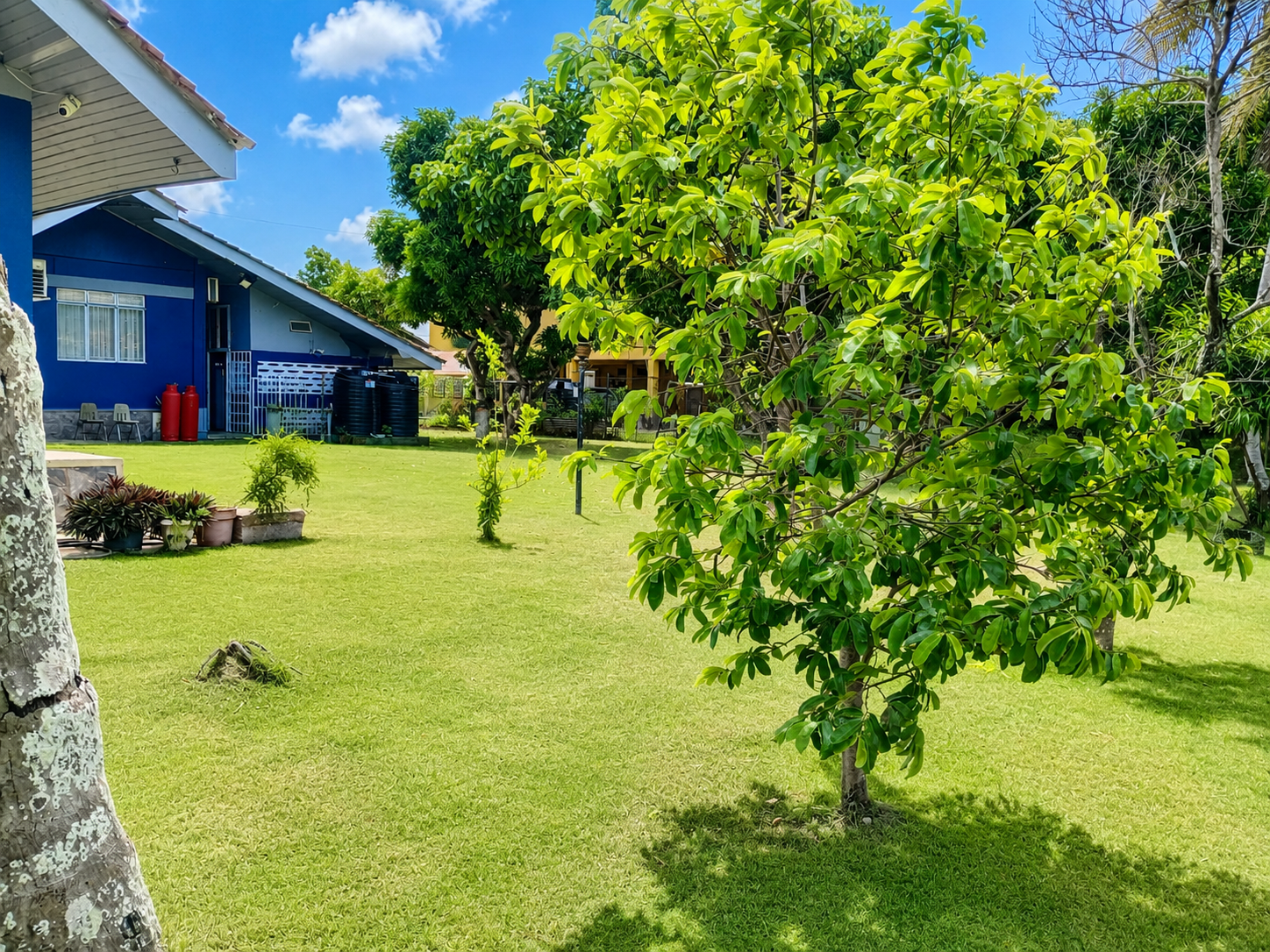 03 trincity home landscaped yard 03 trincity home landscaped yard