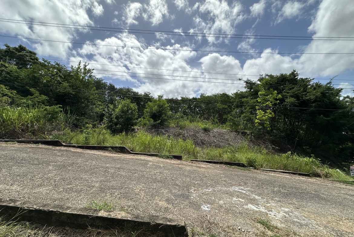 IMG 0581