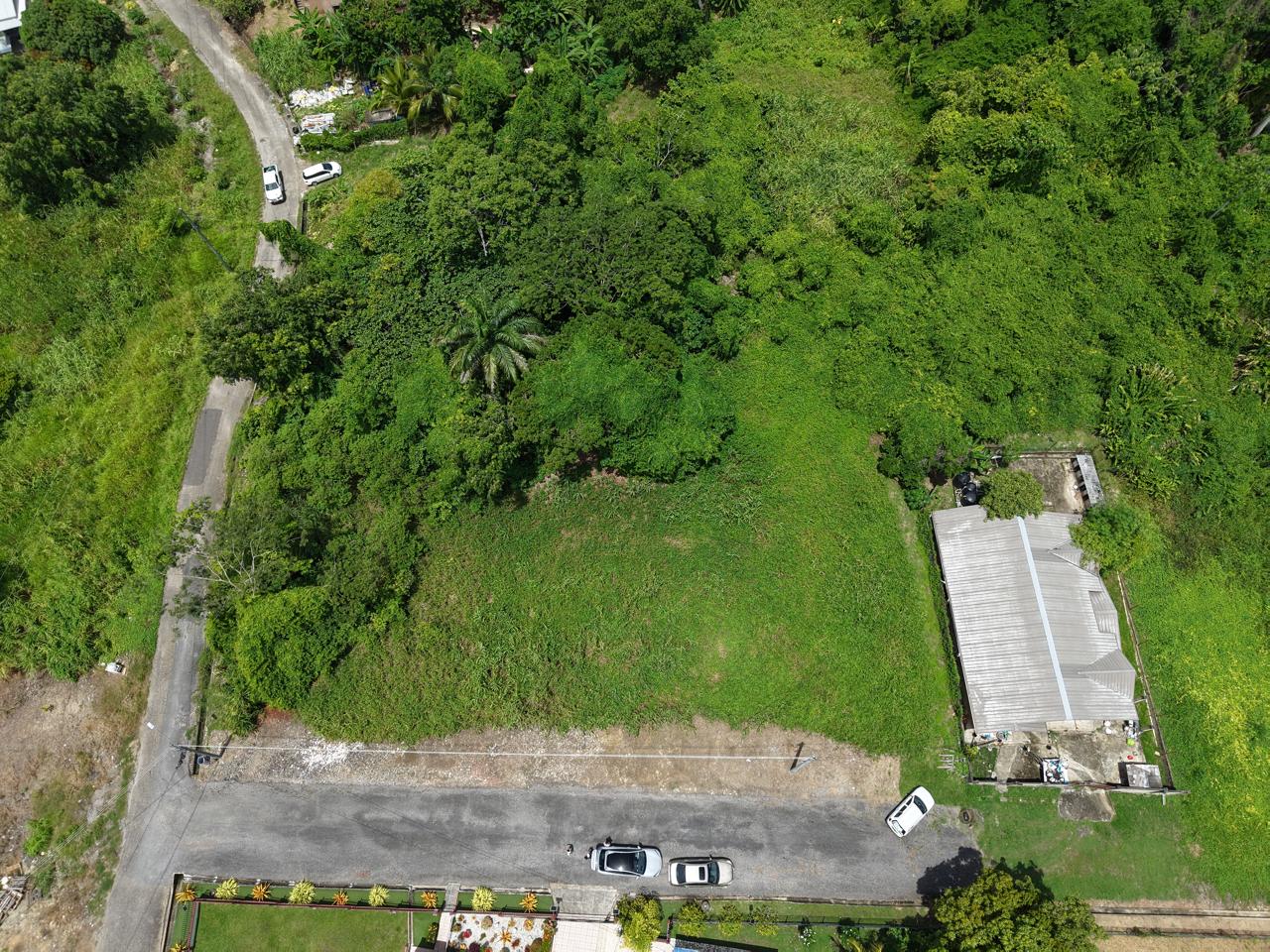 cedar grove palmiste trinidad land cedar grove palmiste trinidad land
