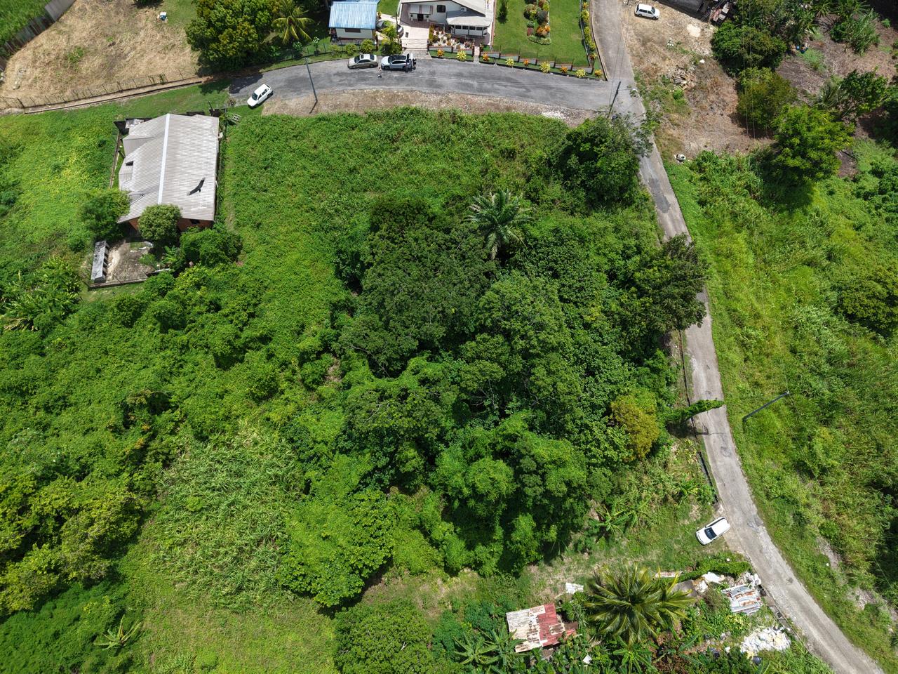 lot 12 palmiste land for sale lot 12 palmiste land for sale