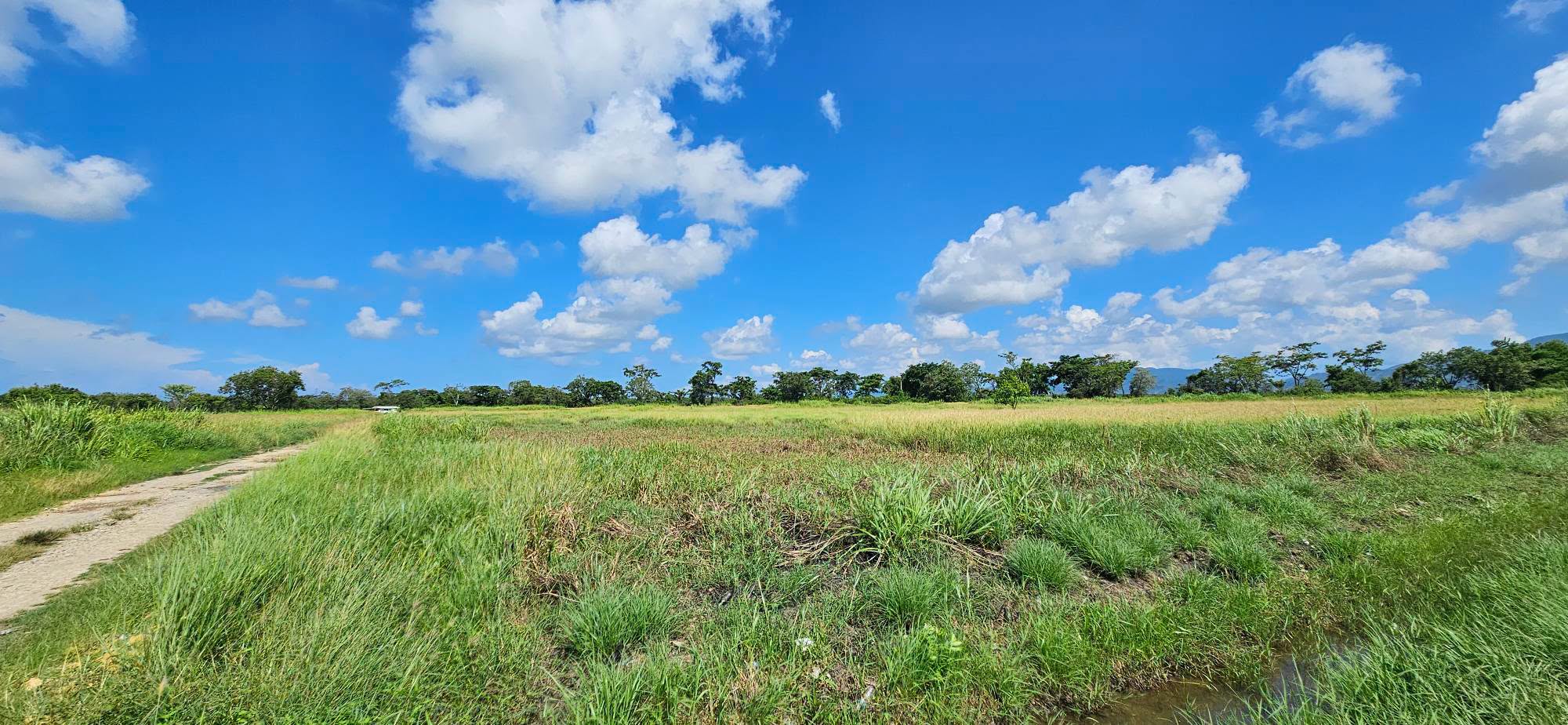 TRINIDAD REAL ESTATE LISTINGS 3 3 Acres Flat Land For Sale – Ramlal Trace Warren Road, Cunupia