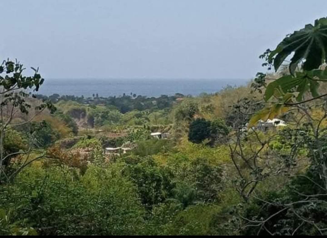 Exclusive Tobago Land for Sale with Ocean Views Near Starfish Hotel