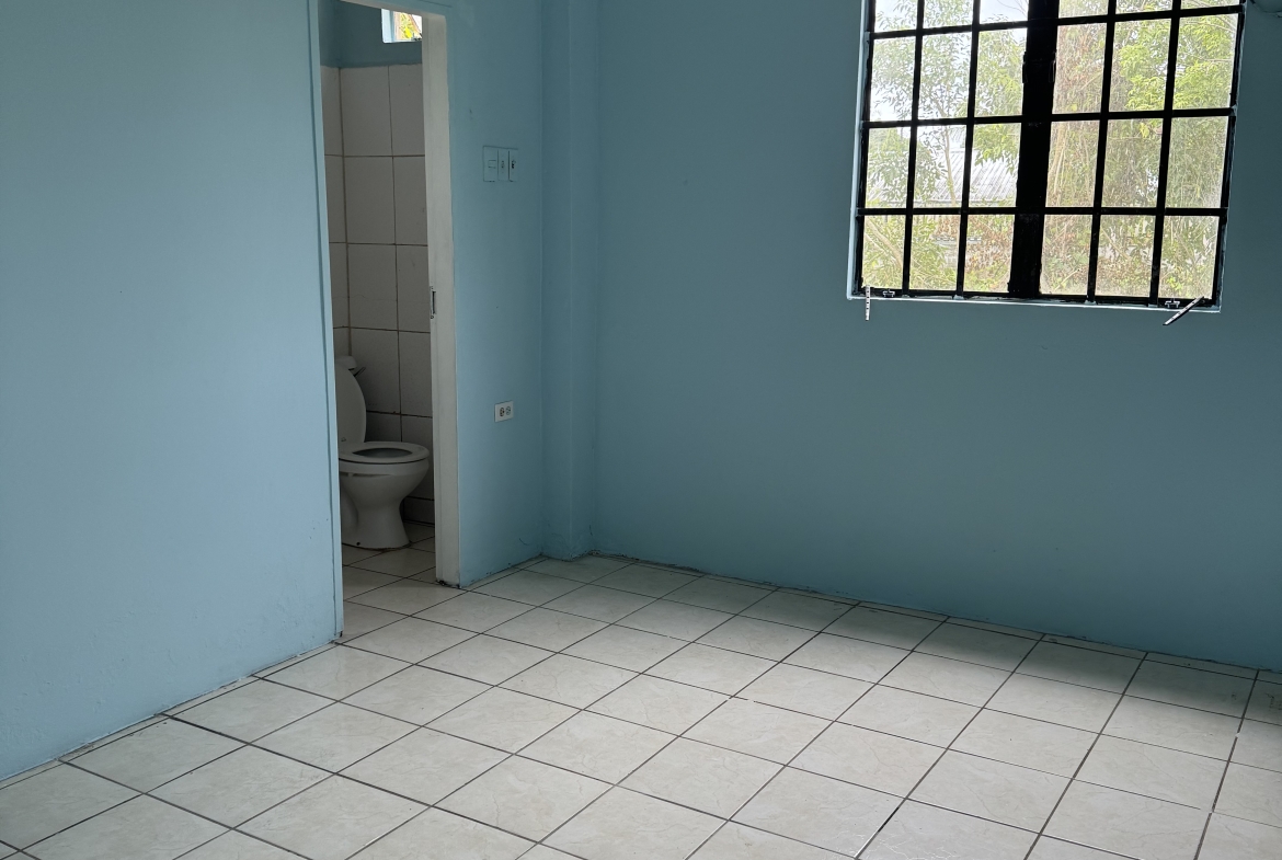 IMG 1262